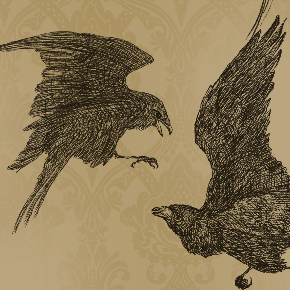 BLACKBIRD